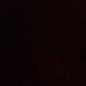 Meet your Posher, Nikka